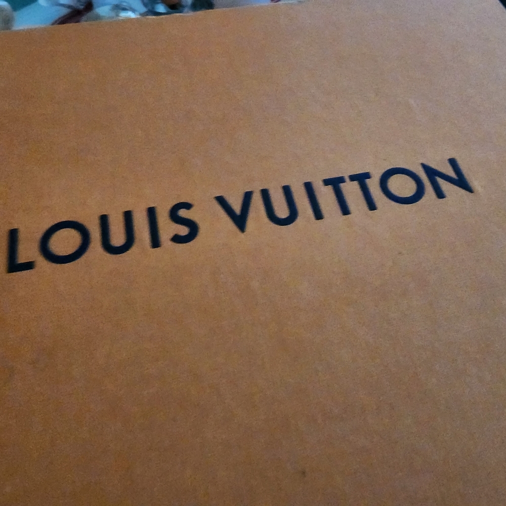 Louis Vuttion Time Out